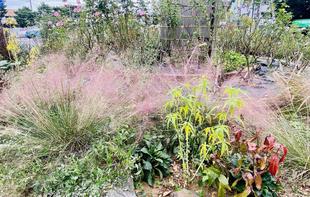 【ボランティアさん】