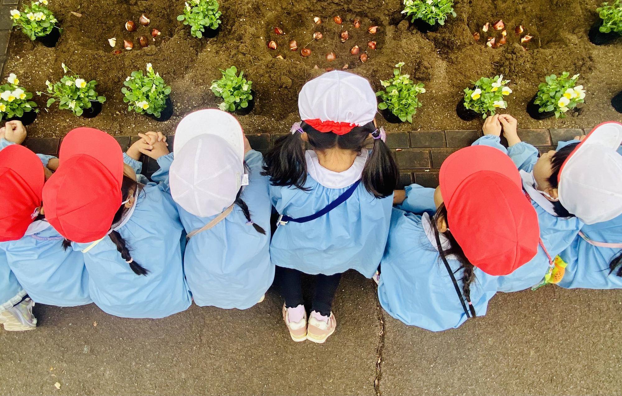 【イベント】植育!三ツ沢幼稚園の写真