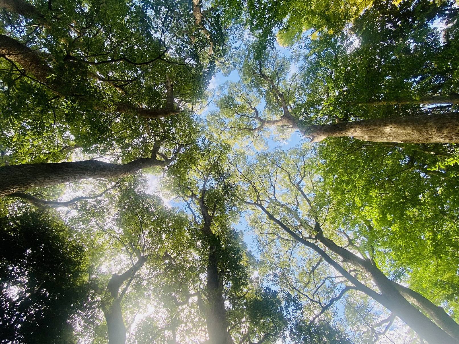 【風景】の写真