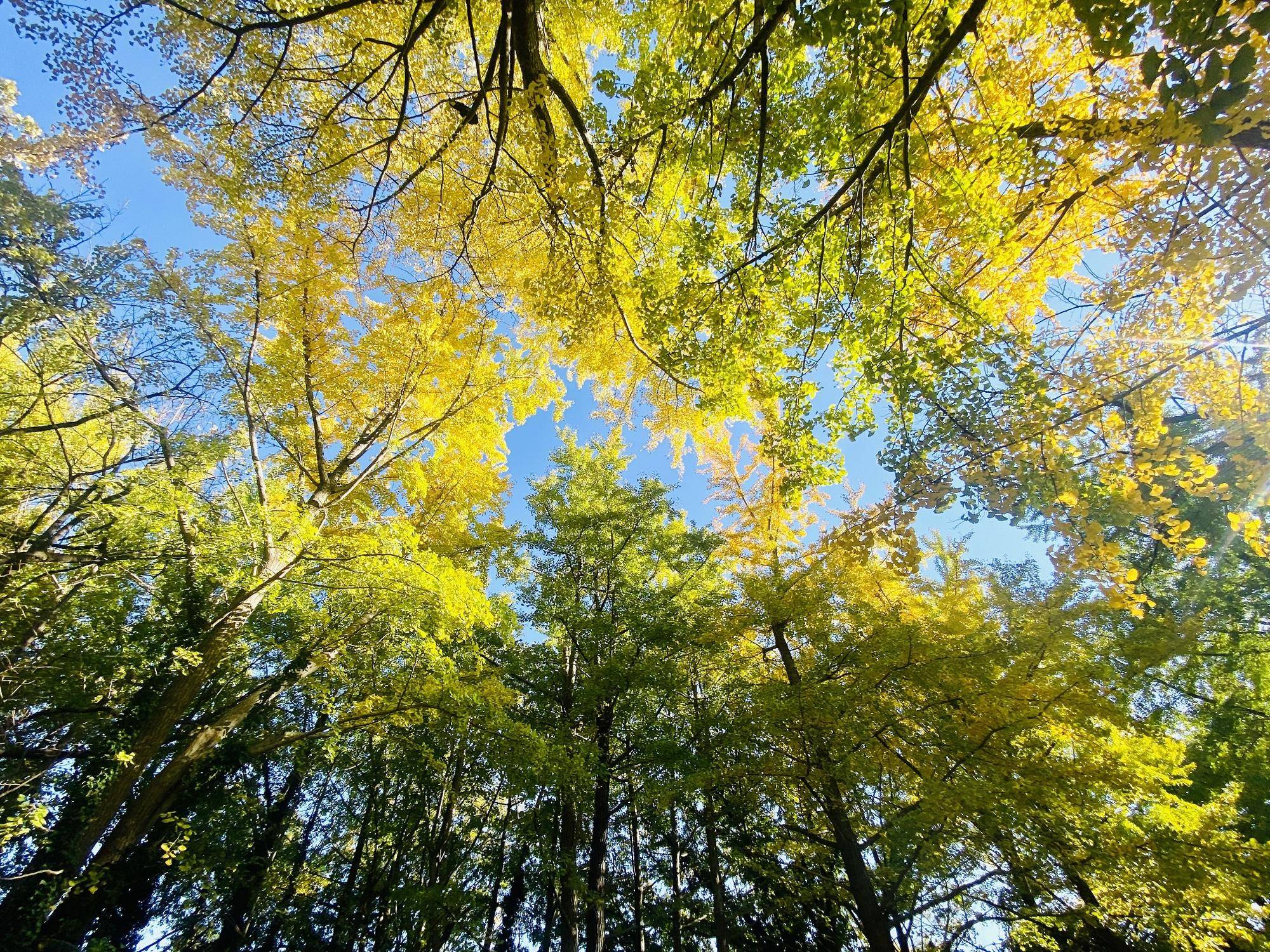 【鳥・風景】の写真