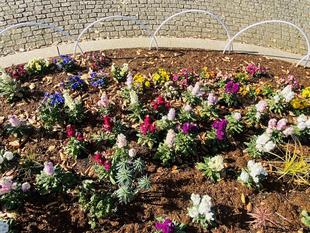 【像・花】平沼さんの像の花壇