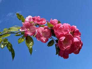 【作品・門松🎍お正月飾り】