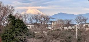 【風景・動物・植物】