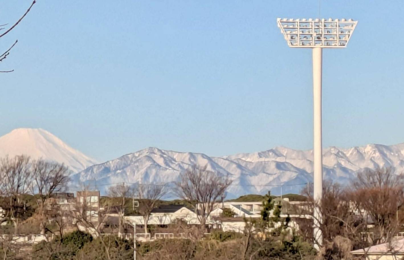 【風景・鳥・花】の写真