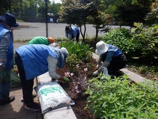 夏の花壇の土づくり