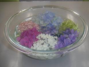 アジサイの水盆