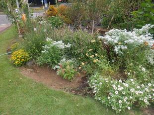 曇り空での除草