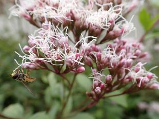 鮮やかになった三ツ沢公園