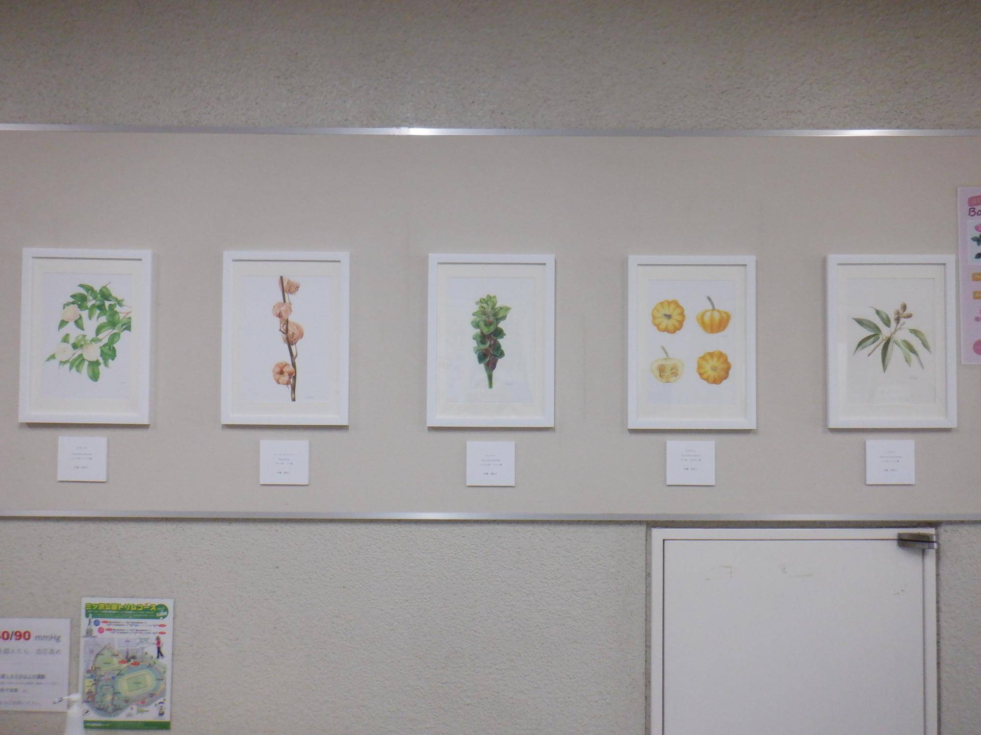 ボタニカルアートの展示を入れ替えましたの写真