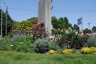 花壇ボランティア日程