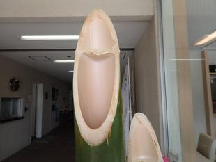 2026年を迎える門松