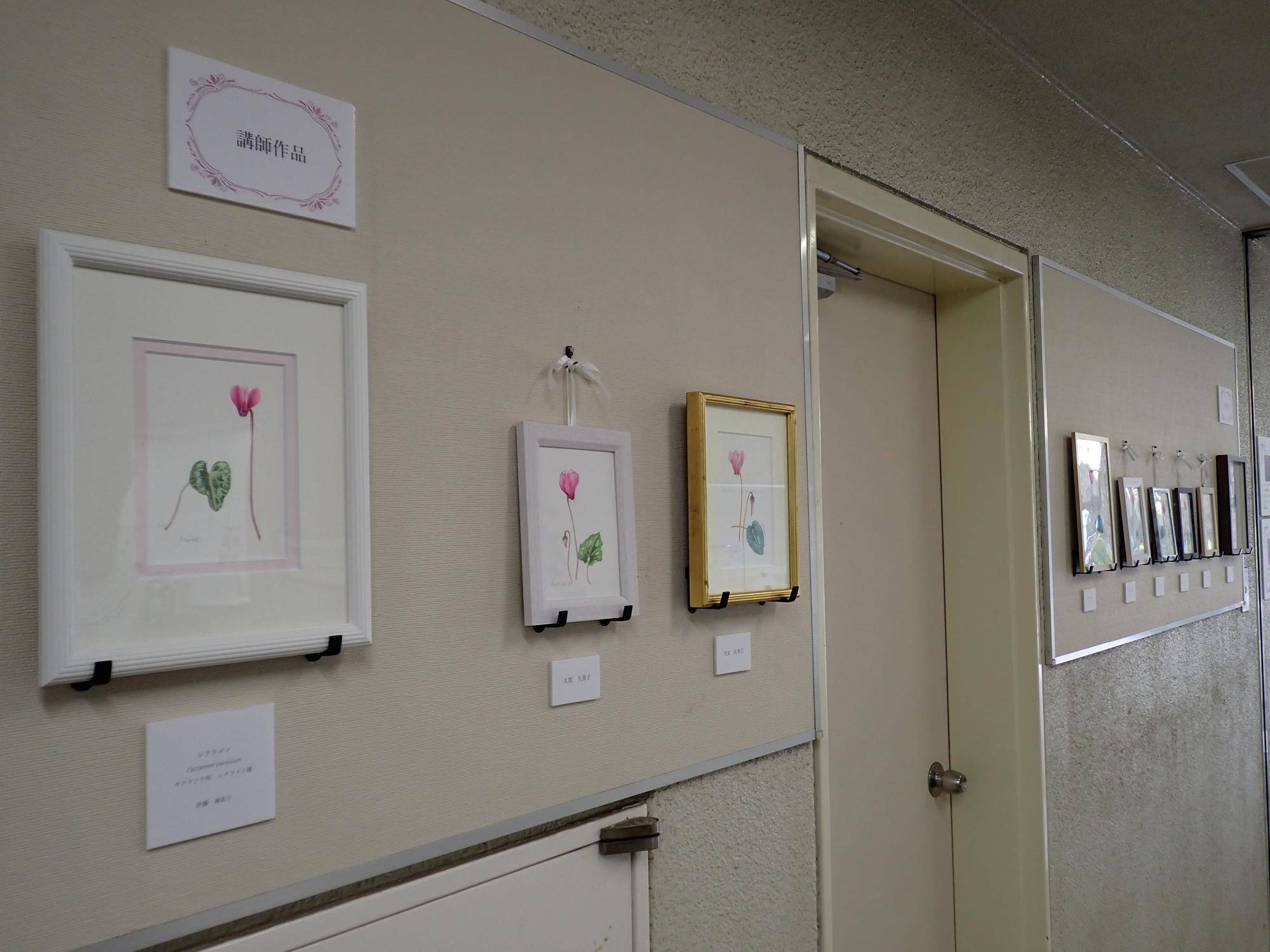 はじめての作品展　はじめてのボタニカルアート教室2025の写真