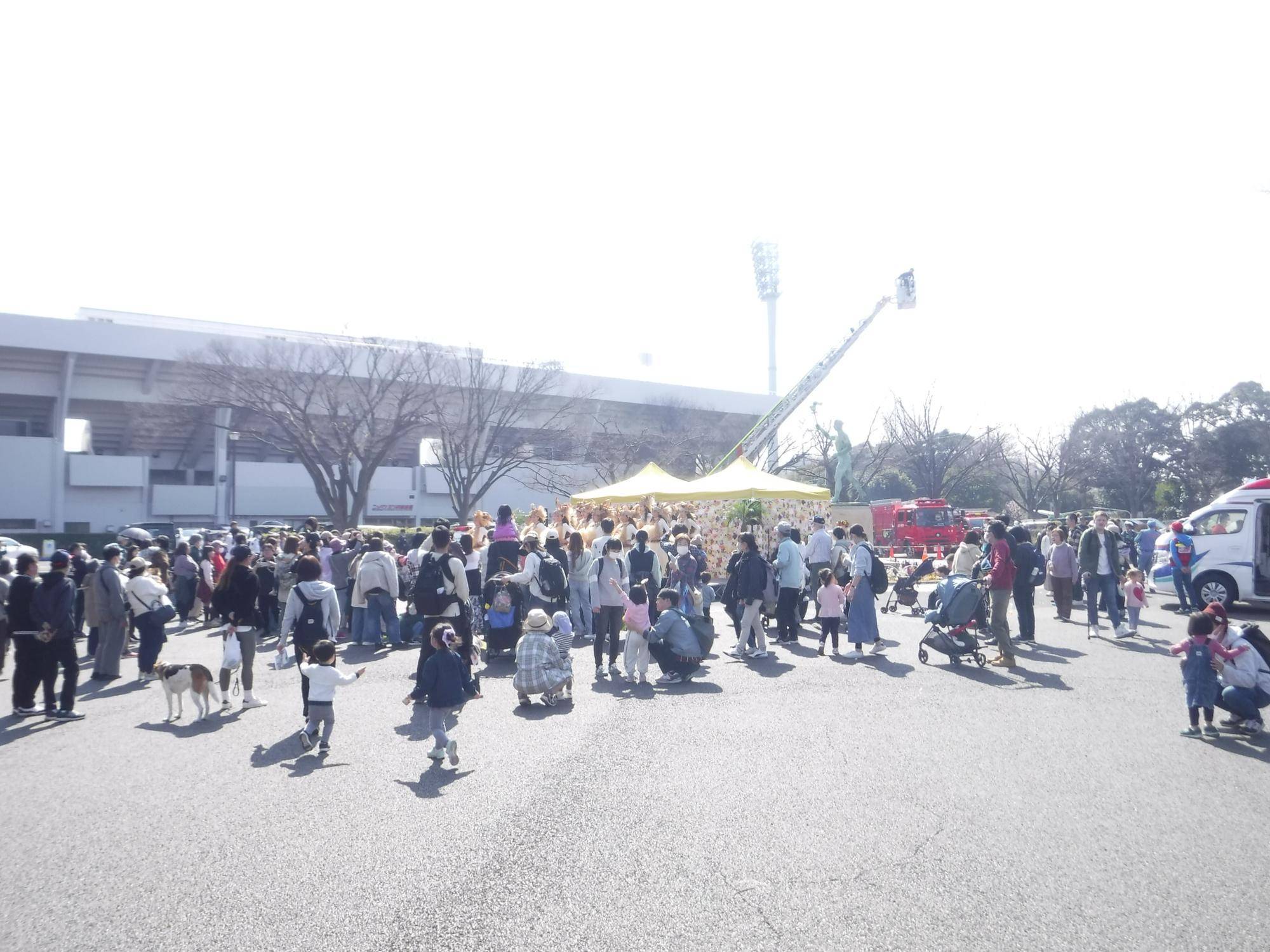 第8回三ツ沢公園感謝デーを開催します!の写真