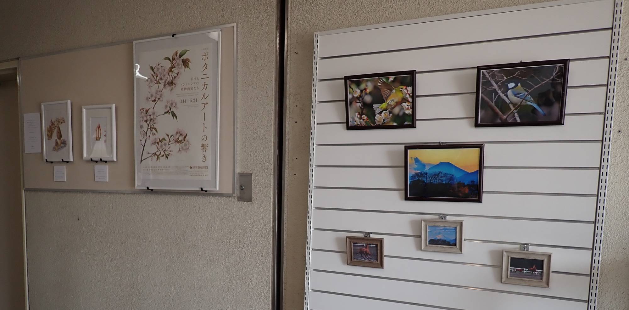 第１レストハウス　お写真と展覧会情報の写真