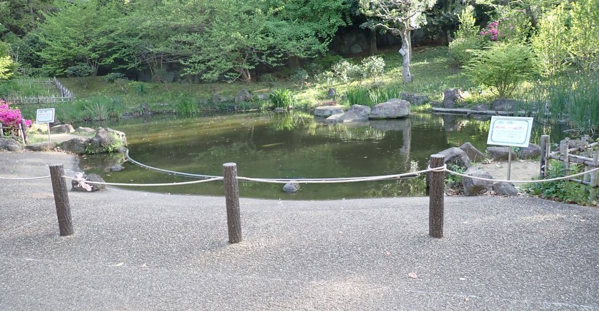 見守りにご協力をお願いしますの写真