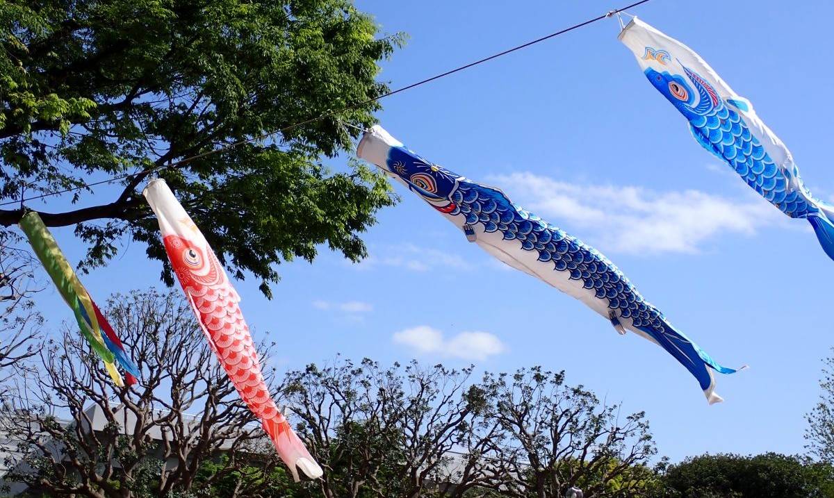青空と鯉のぼり🎏の写真