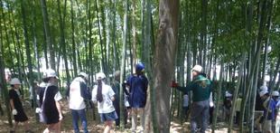 「竹」について学ぼう！宮谷小学校4年生