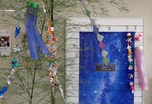 星に願いを～七夕に短冊を飾り付けよう☆