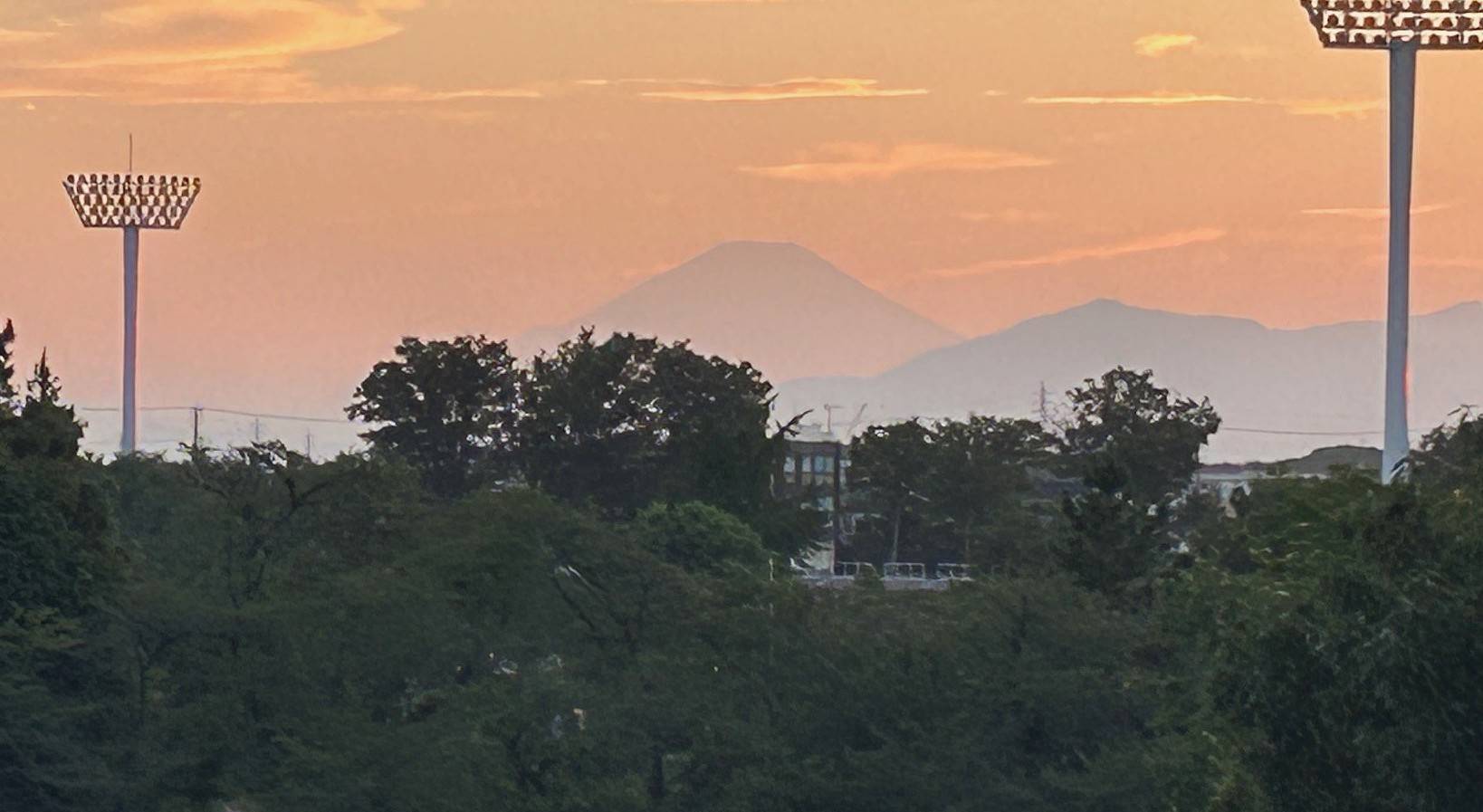 三ツ沢公園だよりVol.42を発行しましたの写真