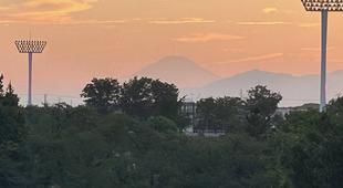 三ツ沢公園だよりVol.42を発行しました