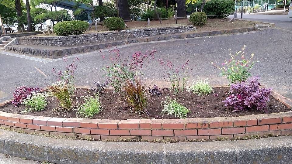 20221019_バス停脇 - コピー.jpg