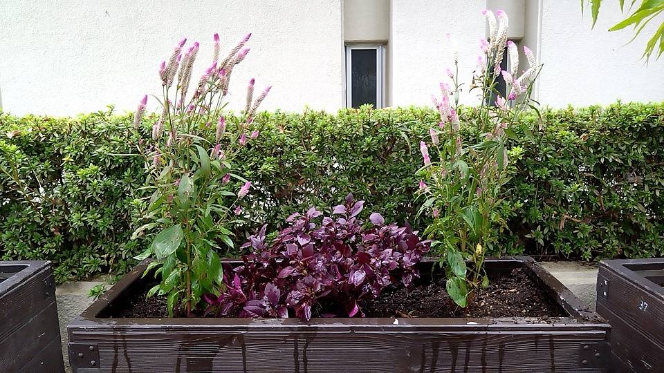 20221018_第1レストハウス脇 - コピー.jpg