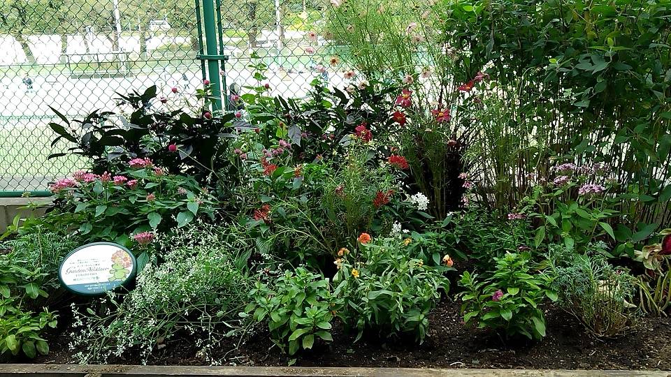 20221019_9番コート脇 - コピー.jpg