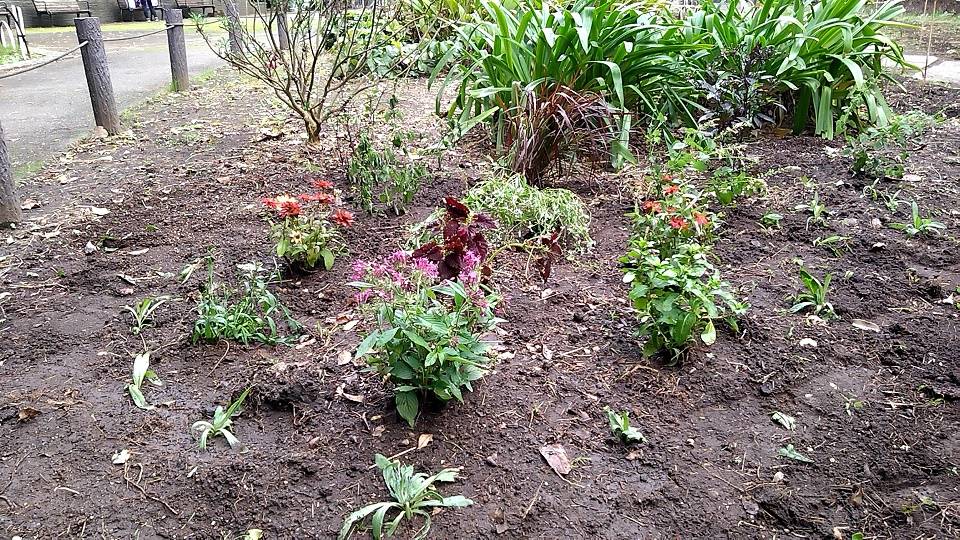 20221019_第3レストハウス前 - コピー.jpg