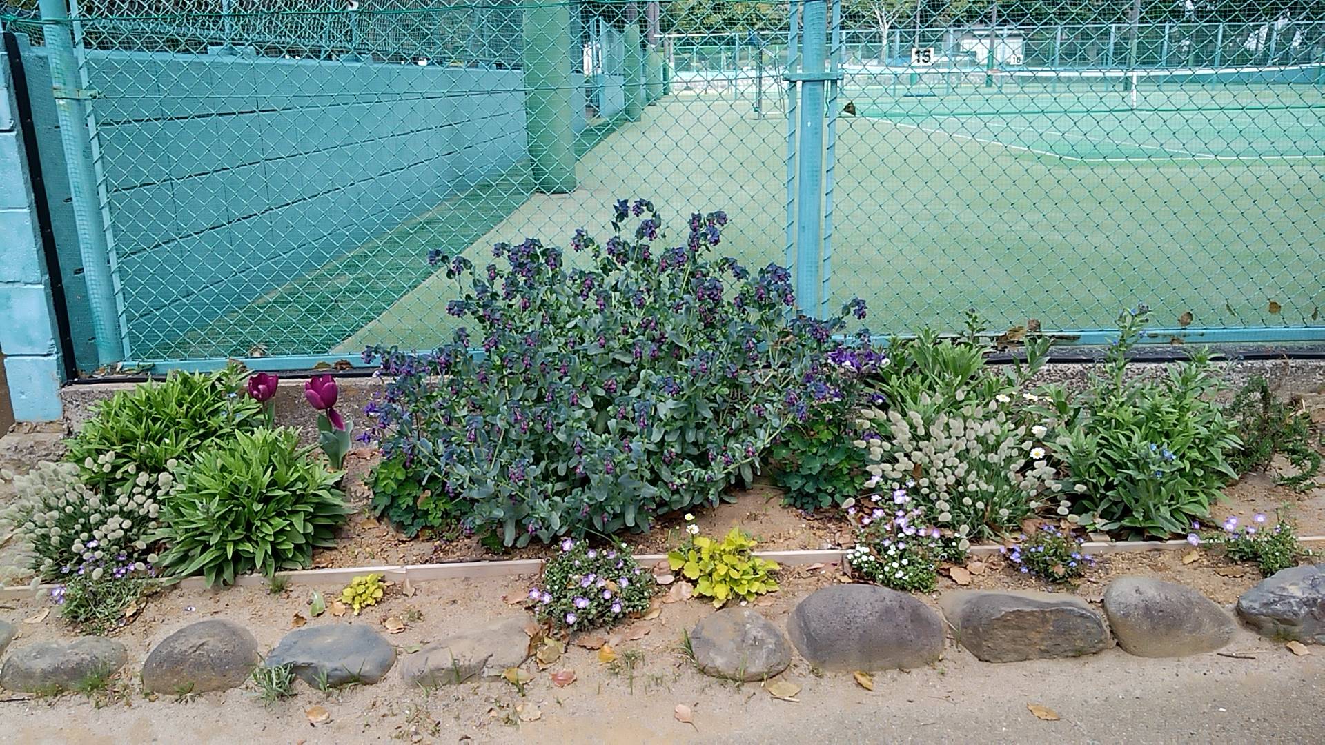 20230403_112305888.jpg