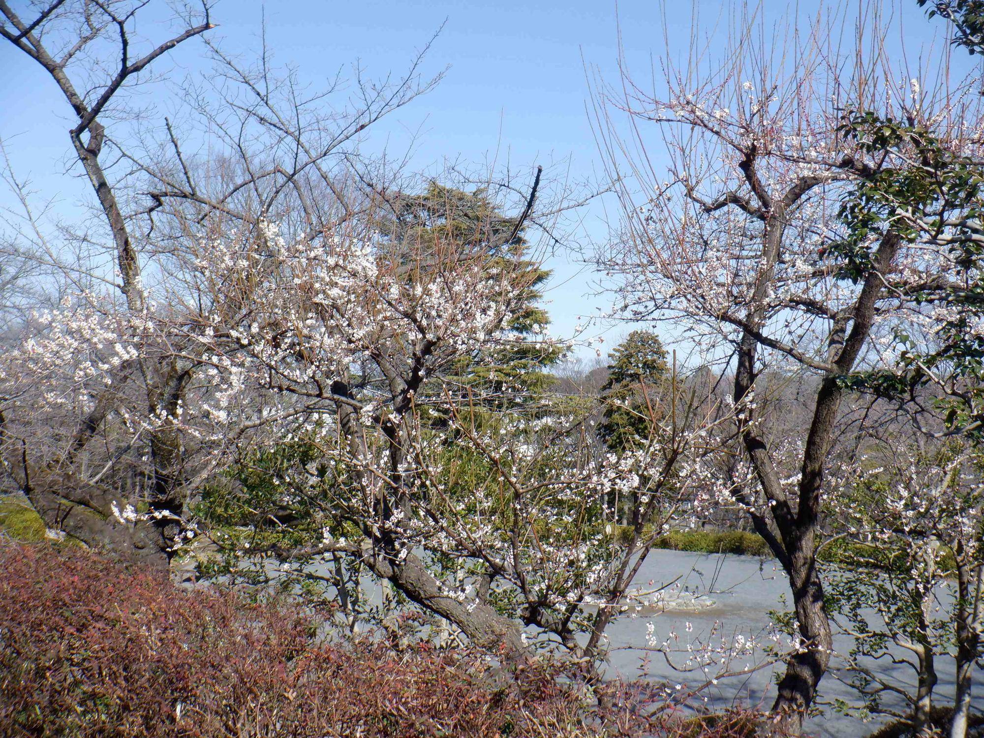 DSCF0813.jpg