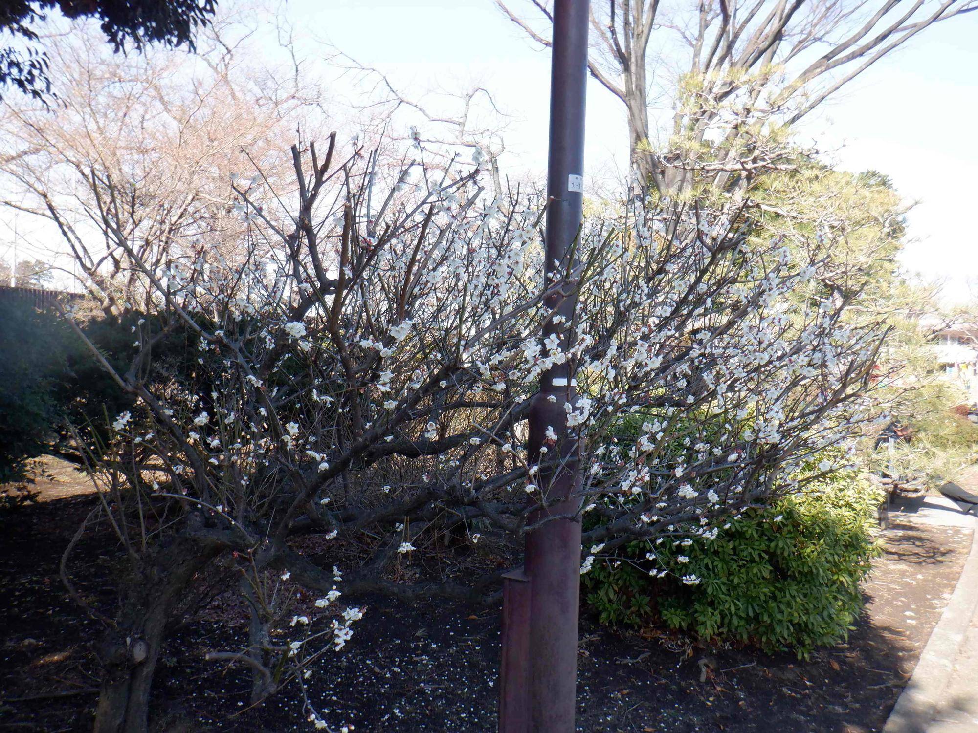 DSCF0819.jpg