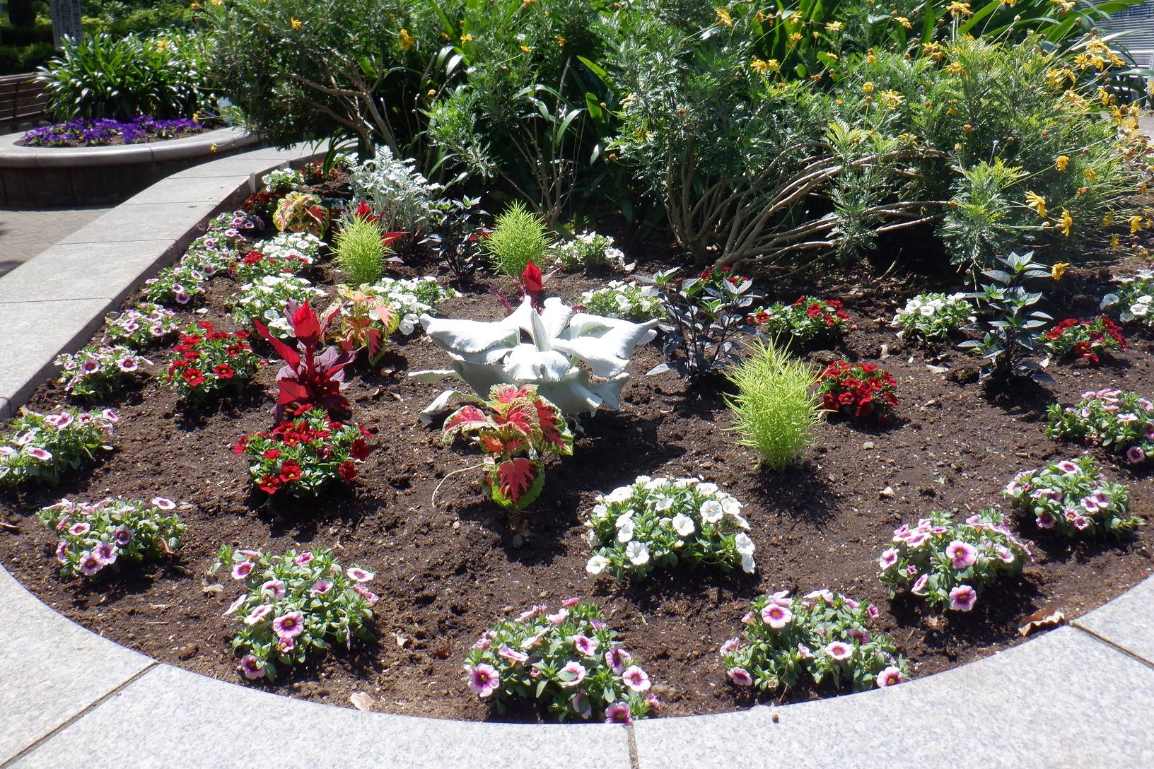 自由広場花壇.jpg