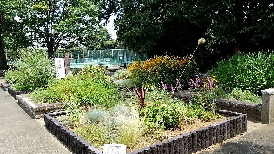⑤20240725_ハーブ宿根草花壇①.jpg