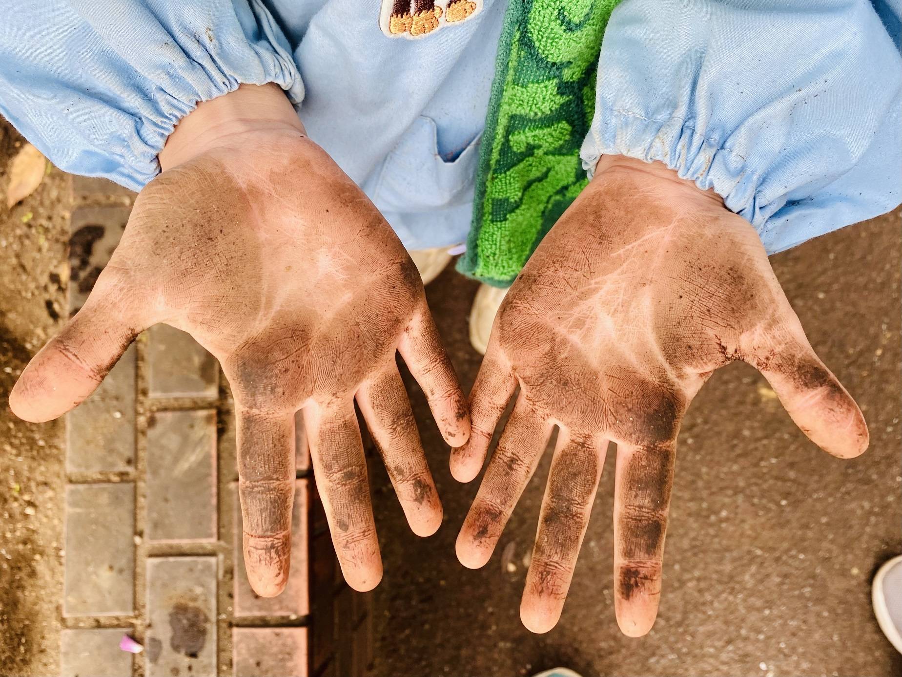 〇土のついたかわいい手.jpeg