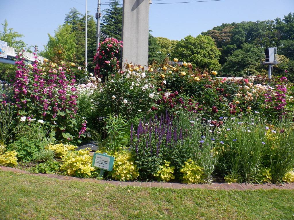 ロータリー花壇全景.jpg