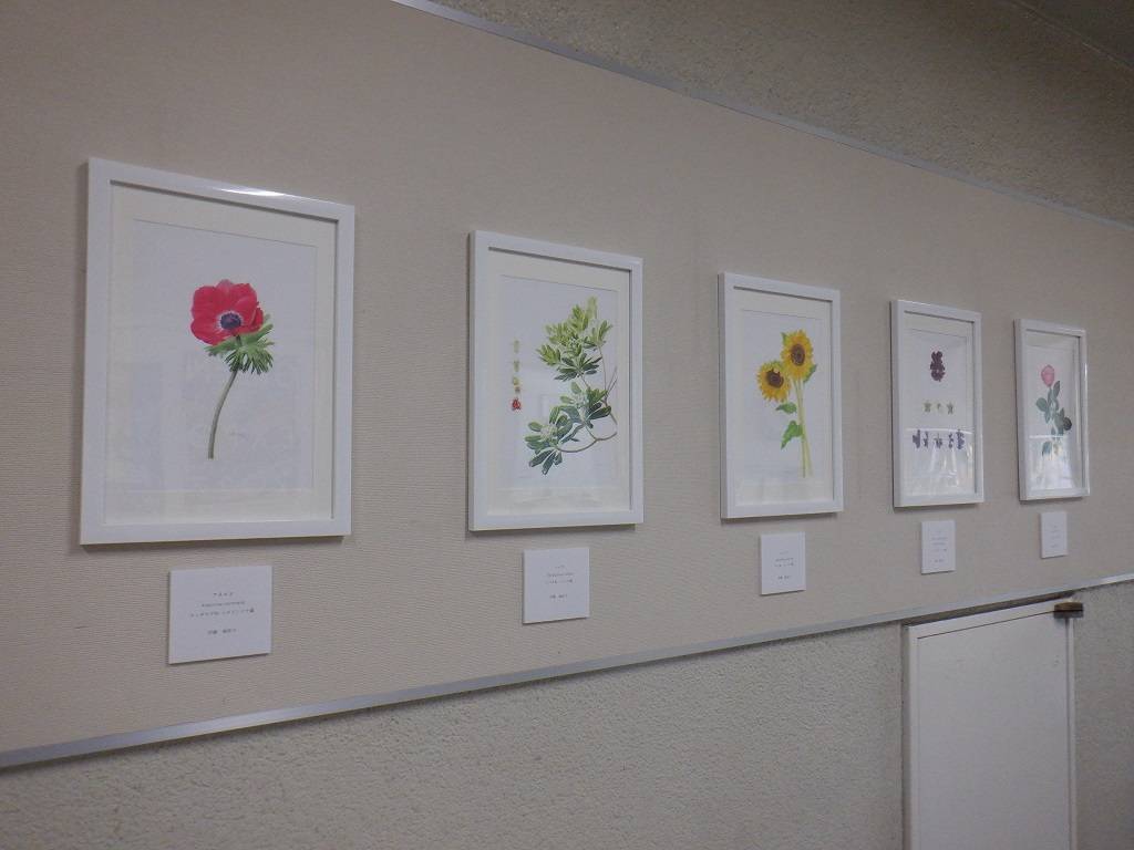 ボタニカルアートの展示の様子.jpg