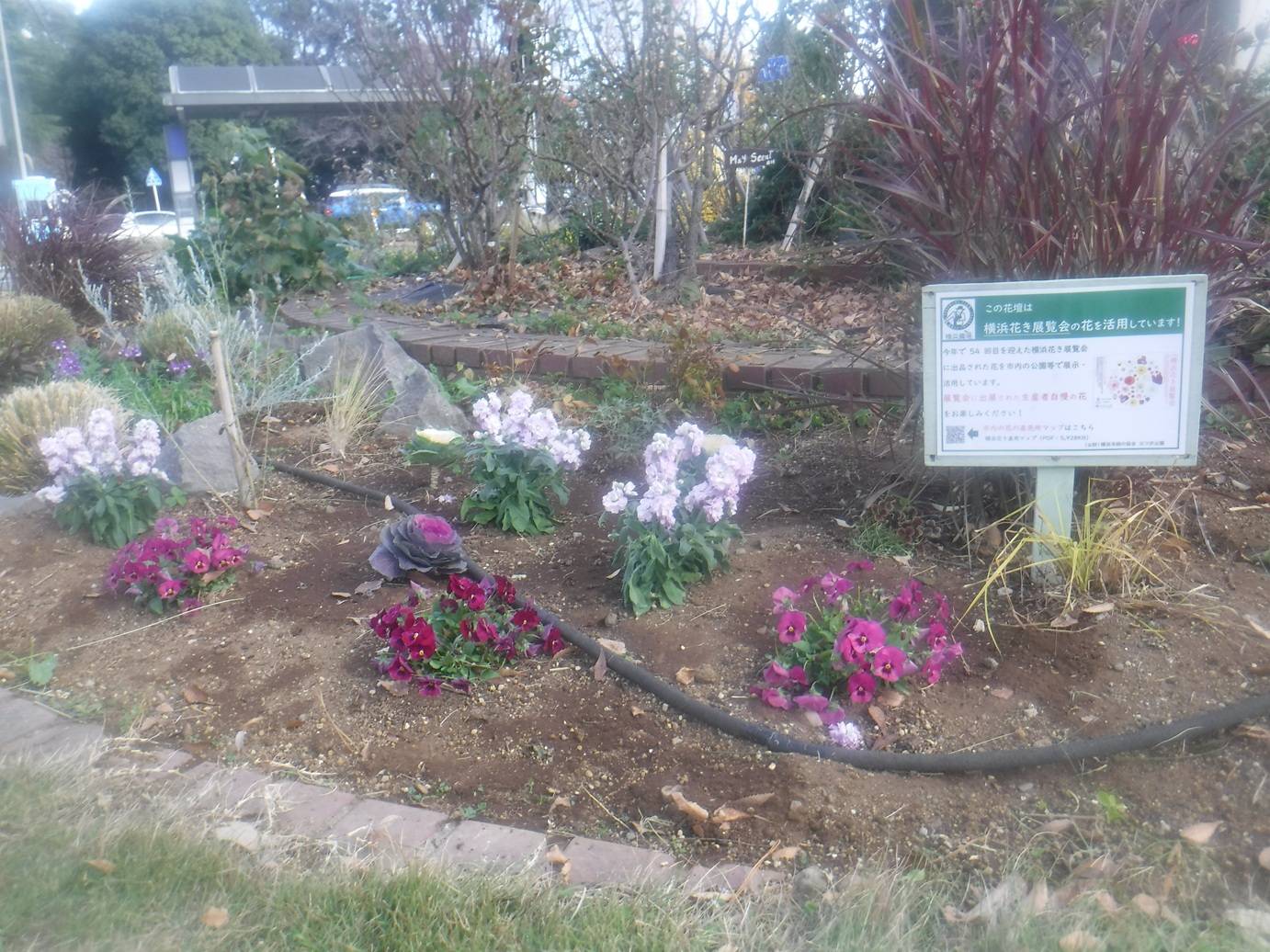 ロータリー花壇２.jpg
