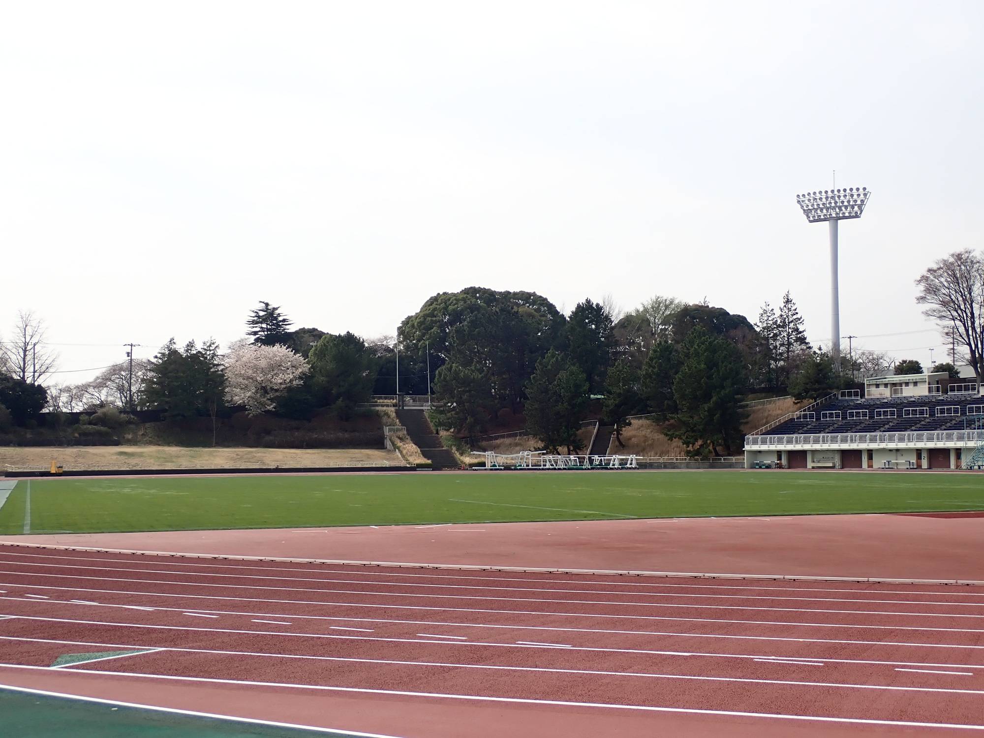 陸上競技場とサクラ.jpg