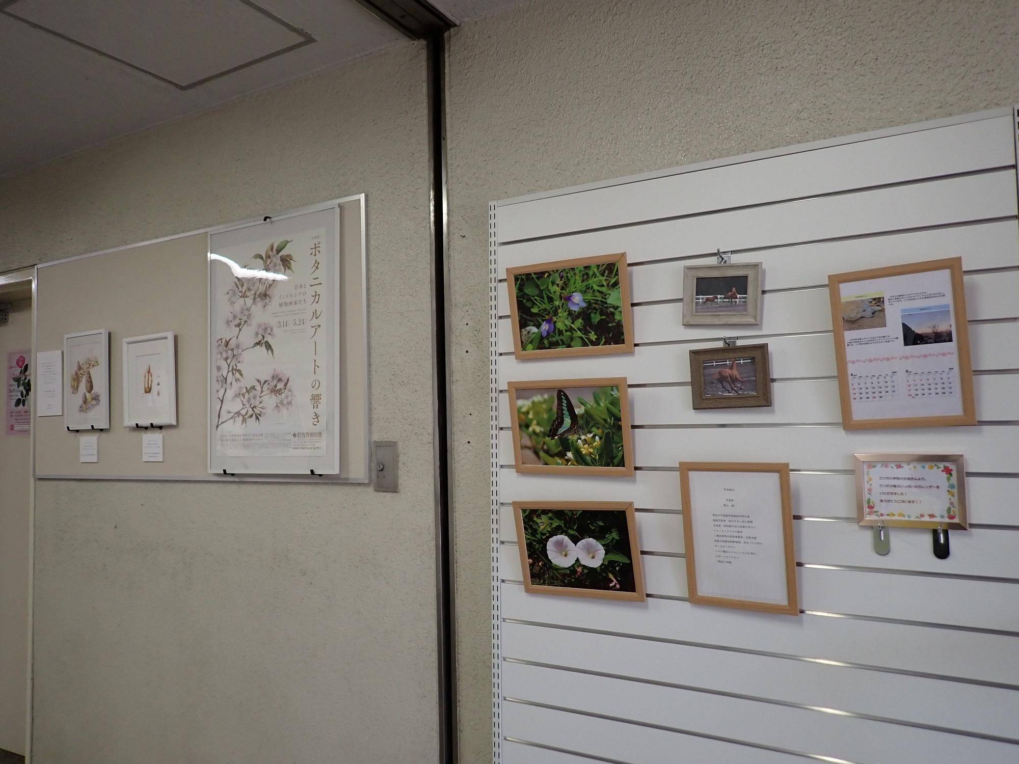 P4150008.jpg