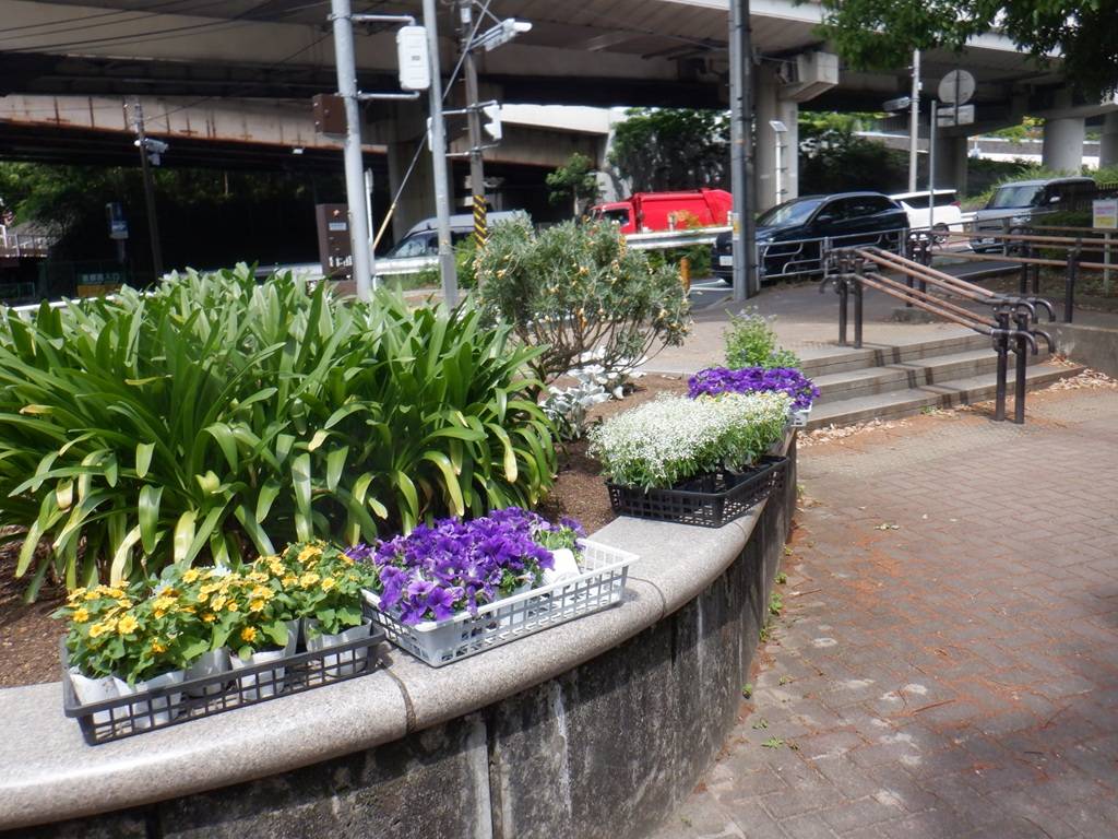 自由広場前の花壇.jpg