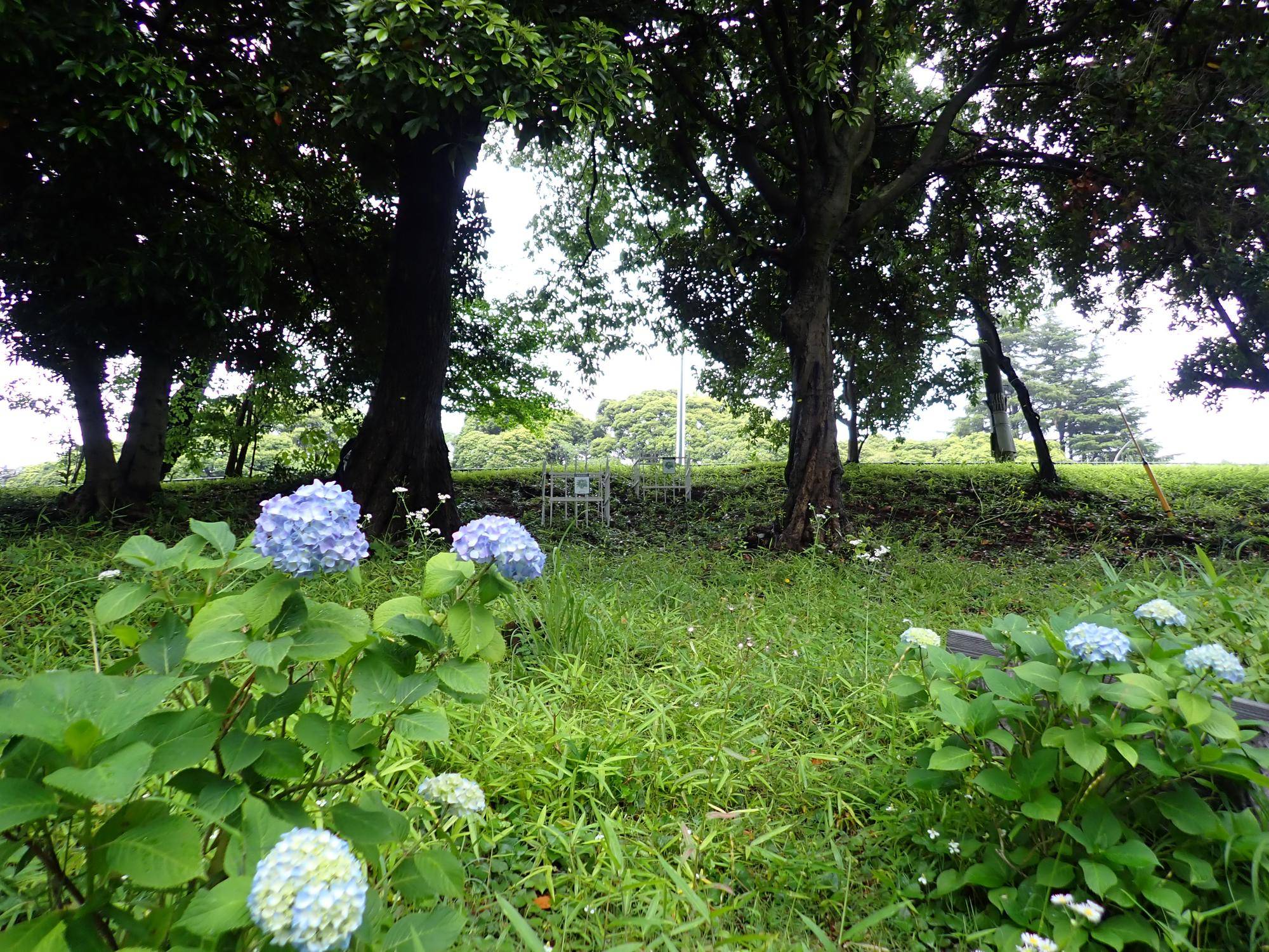 遠景.jpg