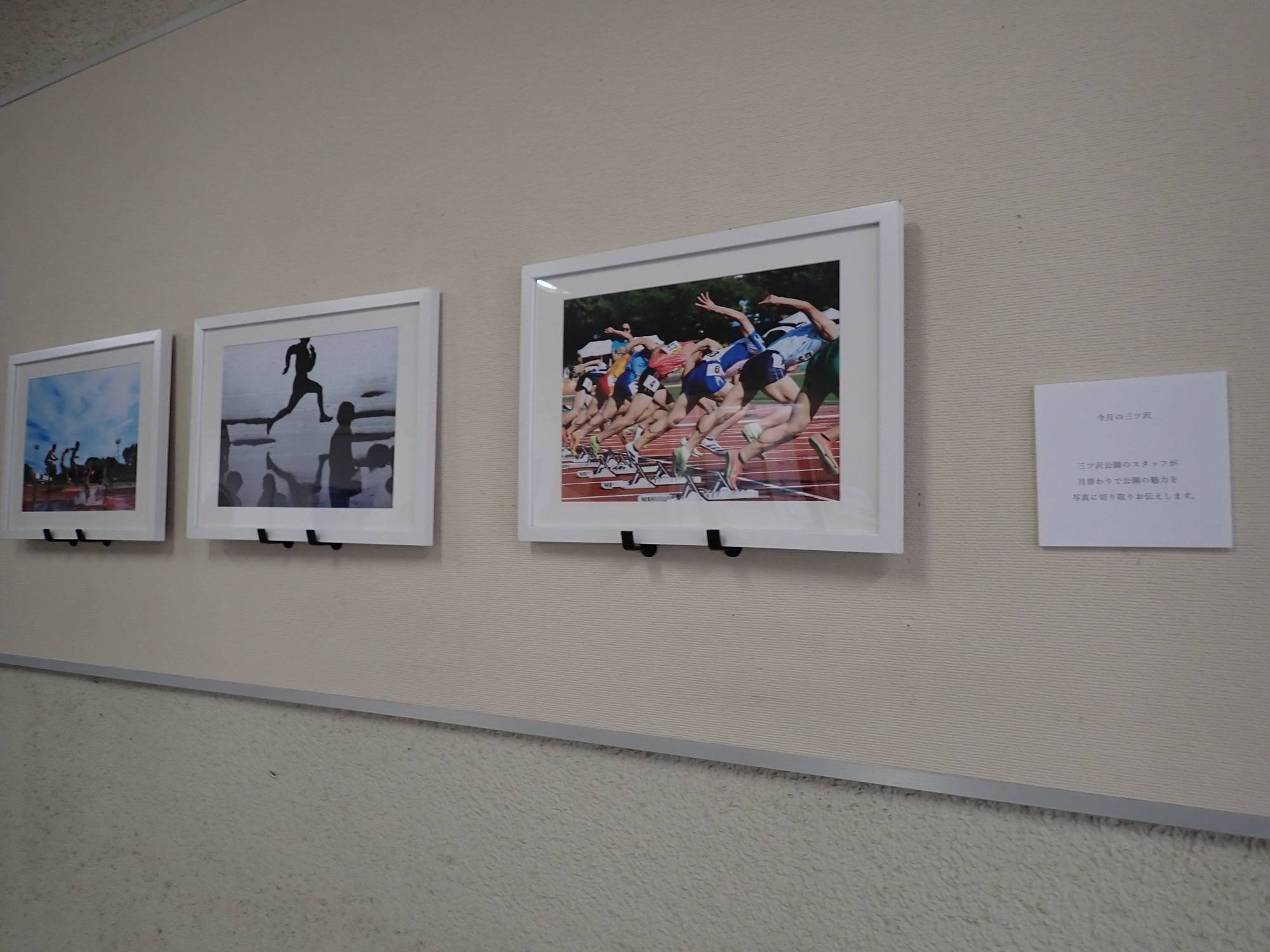 展示替え　陸上.jpg