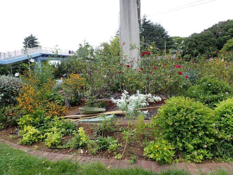 P8270009あと.jpg