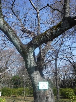 DSCF8207.jpg
