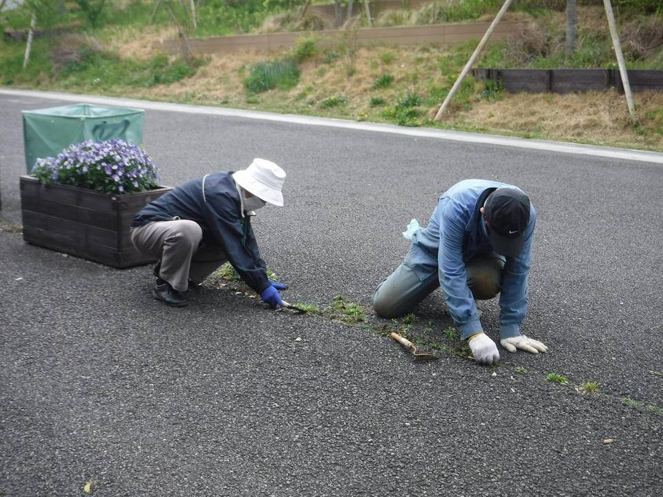DSCF6814.jpg