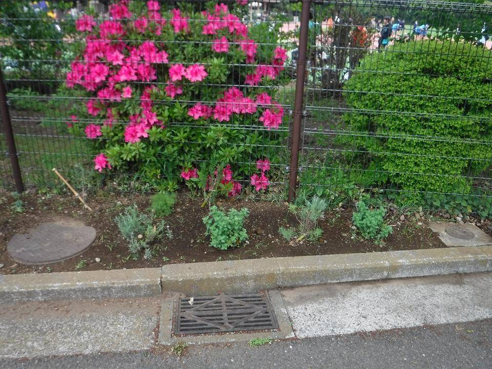 DSCF6821.jpg