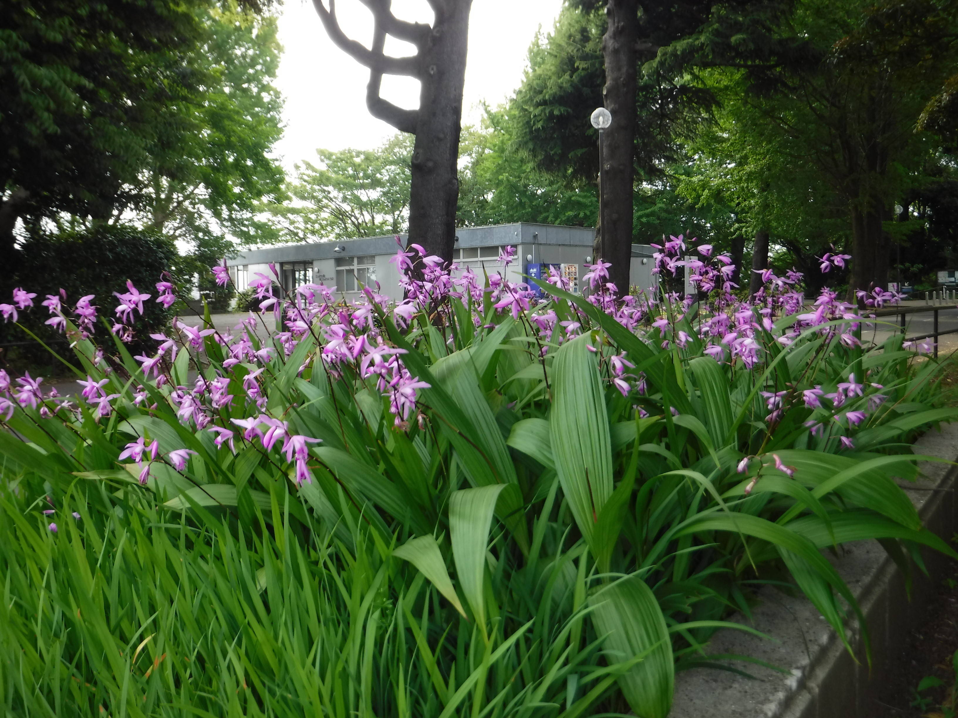 DSCF6538.jpg