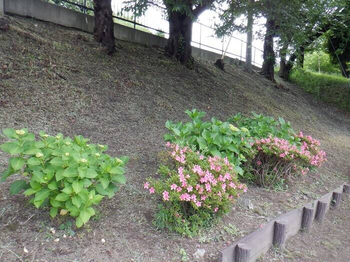 DSCF2547.jpg