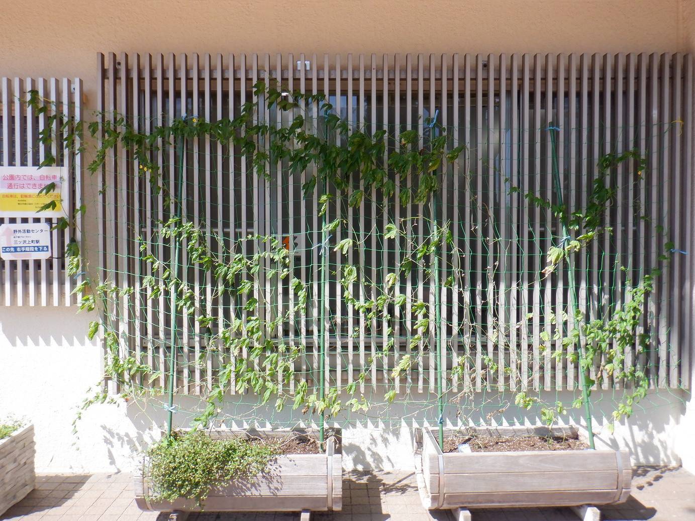 DSCF5873 - 第一レストハウス ブログ.jpg