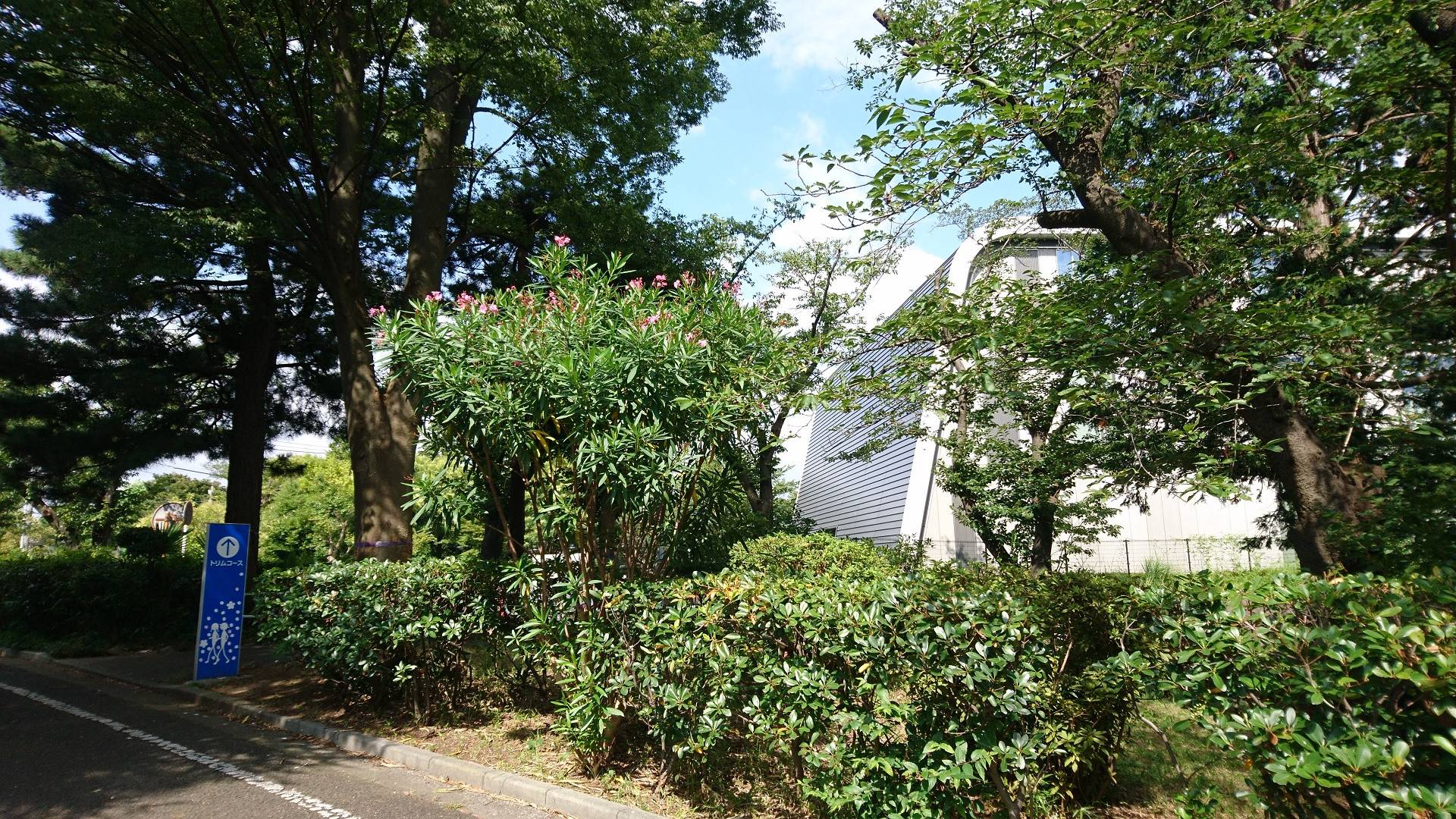 DSC_0169 - ブログ.jpg